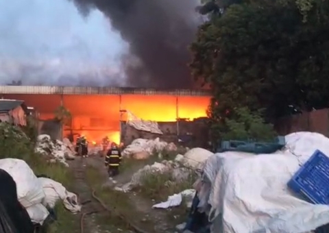 Vídeo: incêndio criminoso destrói parte de empresa de recicláveis no Val Paraíso