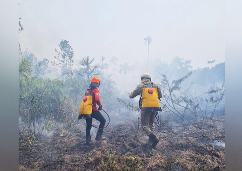 Satélites identificam mais de 3 mil focos de calor em terras indígenas na Amazônia