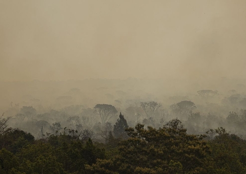 Índice de queimadas na Amazônia cresceu 150% em nove meses do ano