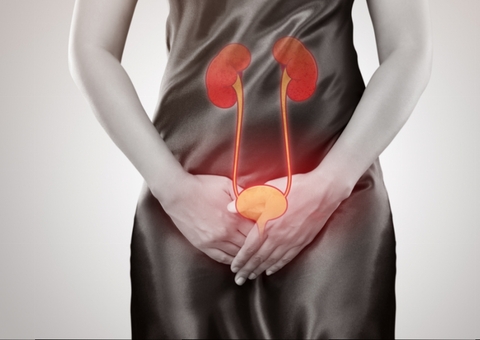 Por que a infecção urinária afeta mais mulheres do que homens?