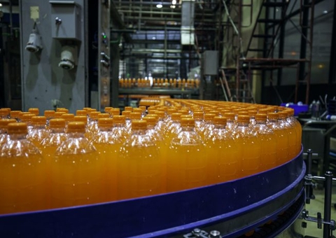 Consumidora perde indenização após não ingerir refrigerante com inseto