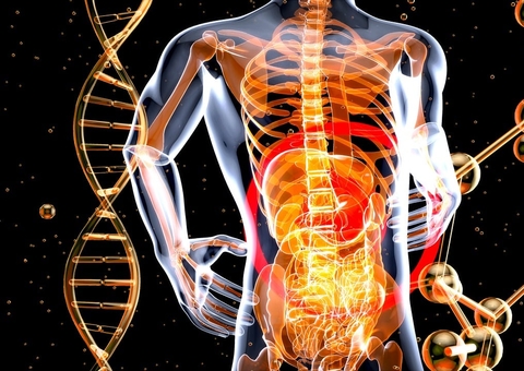 Câncer de intestino é o terceiro tumor mais recorrente no Brasil