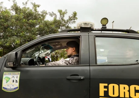 Força Nacional continuará apoiando Ibama na Amazônia Legal