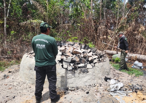 Fornos de carvão são destruídos no Amazonas