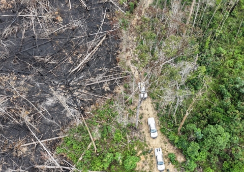 Operação contra desmatamento aplica mais de R$ 13 milhões em multas no Amazonas