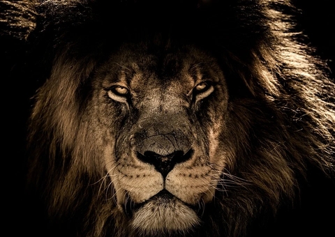 Reforma do Imposto de Renda tem texto-base aprovado pela Câmara