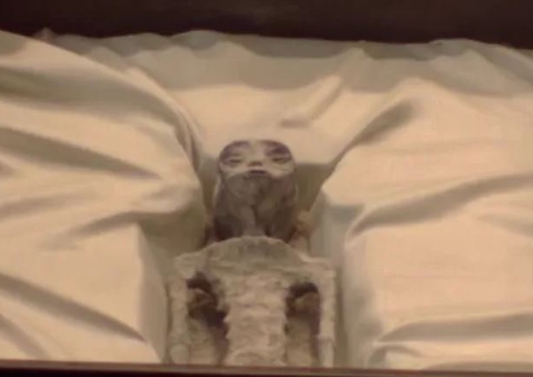 Supostos corpos de extraterrestres são exibidos na Câmara dos Deputados 