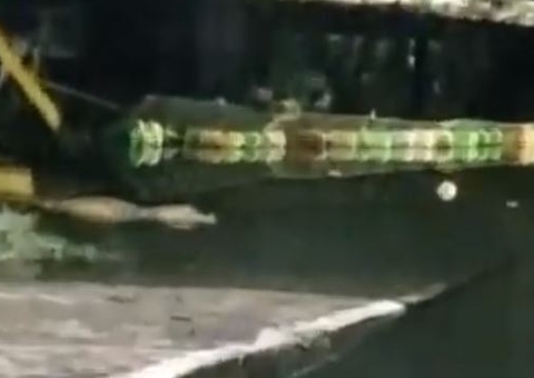 Jacaré nadando é filmado em rua alagada de Manaus; veja vídeo