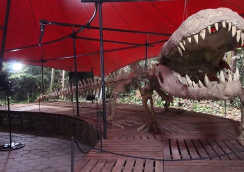 Pesquisadores encontram novas pistas sobre o maior crocodilo do mundo na Amazônia