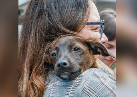 Janja adota cachorrinha resgatada em tragédia no RS; vídeo