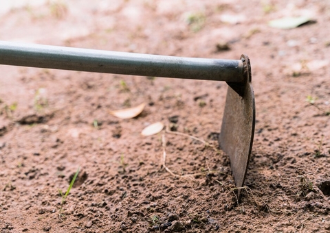 Marido flagra esposa com amante e ataca casal a golpes de enxada no Amazonas