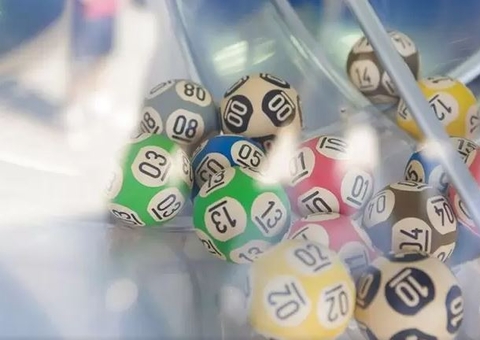 Confira resultados dos concursos 6119 da Quina e 1920 da Timemania