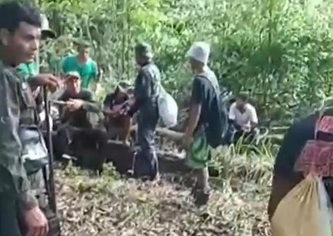 Buscas por criança que desapareceu em mata chegam ao 6° dia no Amazonas