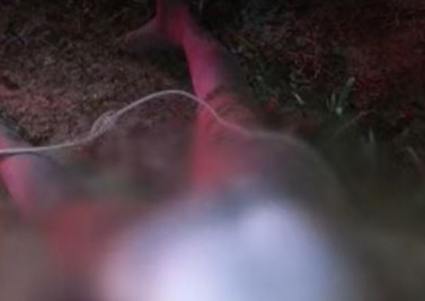 Homem é achado morto em Manaus após moradores acordarem ao som de tiros 