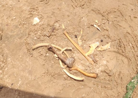 Nova ossada humana é encontrada em porto de Manaus