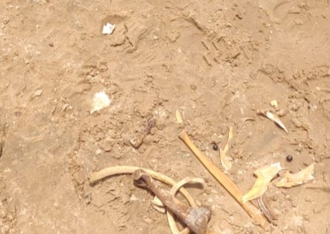 Ossada é encontrada no Amazonas meses após homem desaparecer em rio