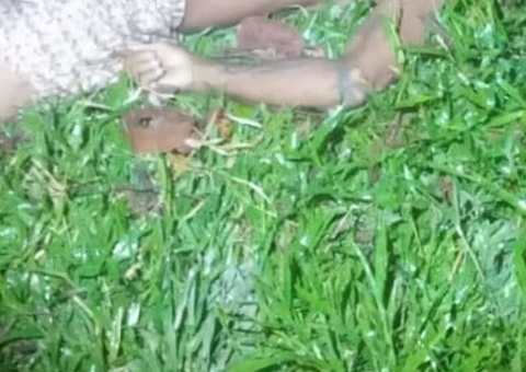 Caseiro tem cabeça esmagada a pauladas durante briga com colega em sítio na AM-010