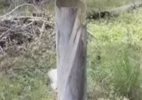 Jovem achado morto dentro de poste é identificado no Amazonas