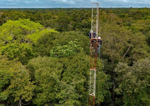 Várzea da Amazônia ganha torre para monitorar gases de efeito estufa