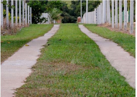 Justiça do Amazonas flexibiliza regras para servidão de passagem