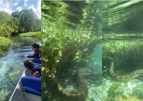 Turistas são surpreendidos por sucuri durante passeio de barco