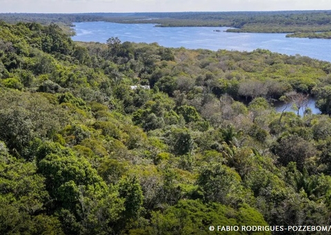 FAB confirma localização de avião desaparecido no Amazonas