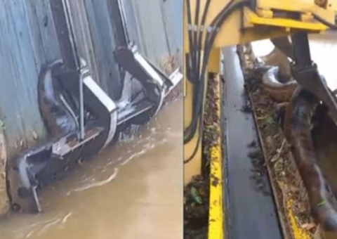 Sucuri gigante é encontrada presa em maquinário e assusta trabalhadores; vídeo