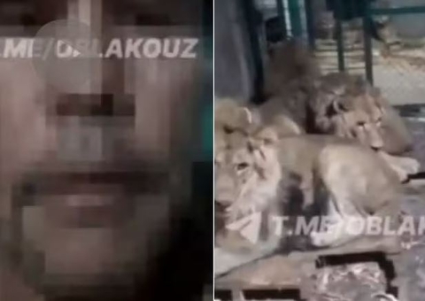 Tratador é devorado por leões enquanto filmava resgate para impressionar namorada