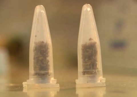 Droga 500 vezes mais potente e mais mortal que heroína é apreendida no Brasil