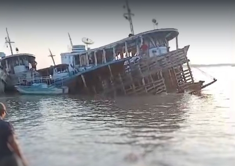 Gados morrem afogados após rebocador naufragar em Manacapuru 