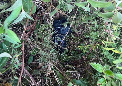 Possíveis membros de corpo jogado sem pernas em igarapé são encontrados no Tarumã