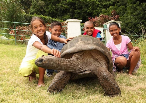 Com 189 anos, conheça o animal mais velho do mundo