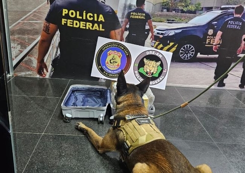 Mulher é presa ao tentar embarcar em Manaus com 10 quilos de maconha na mala
