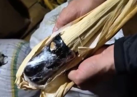Mulher é presa transportando 15 quilos de droga em formato de espiga no Amazonas