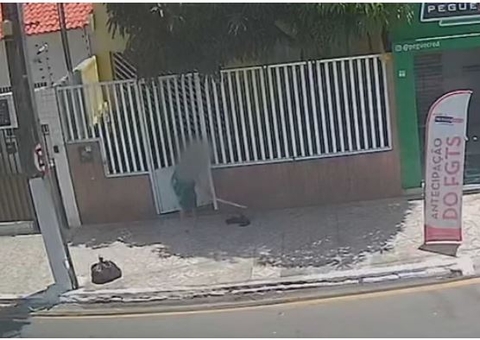 Mulher é flagrada espancando gato até a morte com pedaço de pau