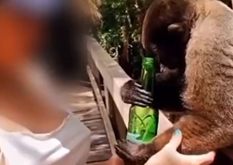 Influencer de Curitiba é denunciada por dar cerveja para macaco em Manaus