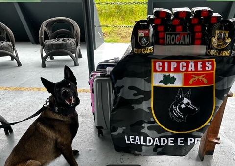 Cadela ajuda na apreensão de carga milionária de droga em barco no Amazonas