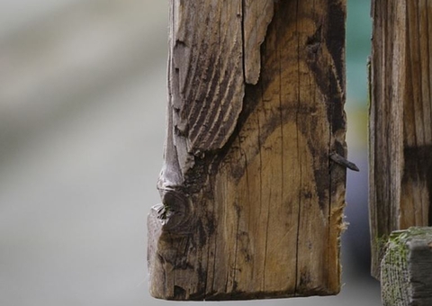 Marido é preso após agredir esposa a pauladas no Tancredo Neves