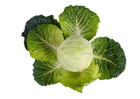  Couve e repolho previnem doença gravíssima