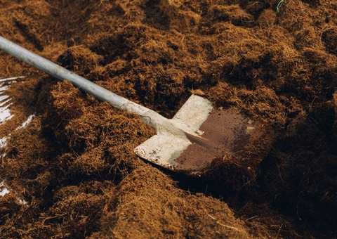 Homem é preso suspeito de tentar matar 'colega de bar' a golpes de pá no Amazonas