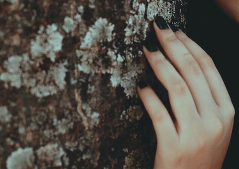 Adolescente desaparecida é achada morta amarrada à árvore dentro de igarapé