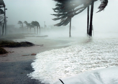 Sobe para 50 número de mortos pelo furacão Ida nos EUA
