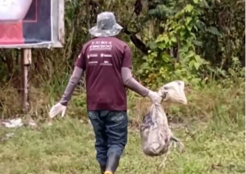 Animais mortos jogados próximo a aeroporto aumentam riscos de acidentes no Amazonas