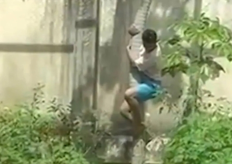 Homem morto por leoa tinha transtornos mentais e havia saído recentemente da prisão