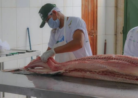 FAS realiza Feira do Pirarucu com preços a partir de R$ 7