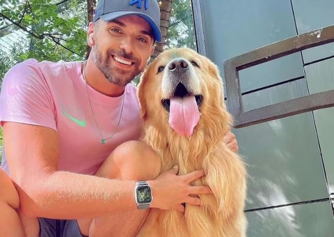 Post em perfil de golden morto após falha da Gol comove internautas: ‘Ansioso para viajar’