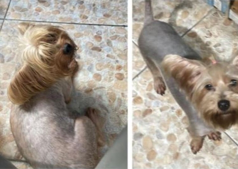 Casal de Yorkshire desaparece no Japiim e família oferece recompensa
