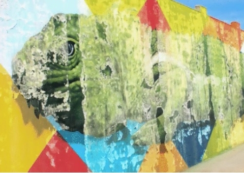 Eduardo Kobra se defende após ser alvo da polícia por fraude em mural em Boa Vista