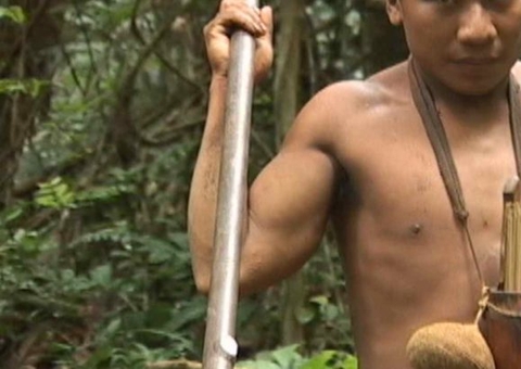 Mais de 100 indígenas procuram por Bruno Pereira e Dom Phillips no Amazonas