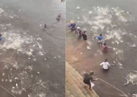 Peixes saltam de dentro d'água para a rede de pescadores no Amazonas; vídeo